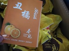 -上海龙吴水胜海发市场