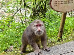 -西岭雪山大飞水景区