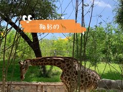 -北京野生动物园