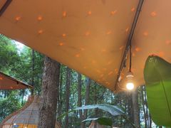 -二荆条·蜀鲜汇城市森林火锅