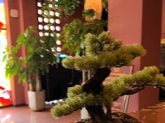 -泰融玺·泰式按摩SPA(包河万达店)