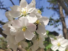 -大兴滨河森林公园