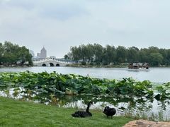 -长春市南湖公园