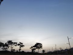 -LELECHA乐乐茶(新街口大洋店)