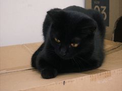 -贝来恩24H动物医院·转诊中心(稻香路店)