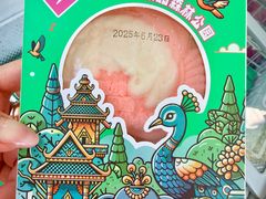 -西双版纳原始森林公园