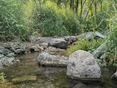 -灵溪风景区