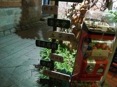 -晋江五店市传统文化旅游区