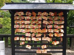 -有栖山 清光院 清水寺