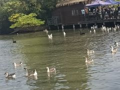 -溱湖国家湿地公园