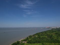 -上海滨江森林公园