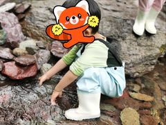 -双龙峡