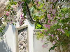 -深圳国际园林花卉博览园