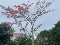 -风云岭森林公园