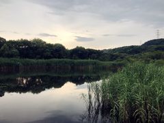 -西湖风景区-江洋畈生态公园