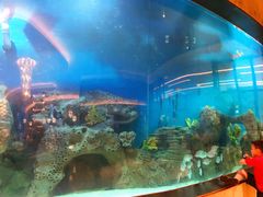 -艺厨风尚餐厅 · 桔钓沙莱华度假酒店
