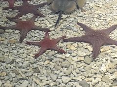 -多彩贵州城极地海洋世界