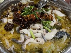 -鲤城打铁水煮鱼店