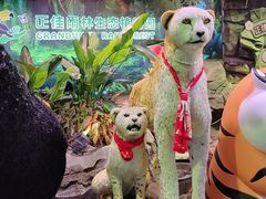 -正佳雨林生态植物园