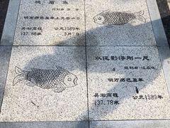 -白鹤梁水下博物馆