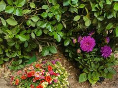 -三旗百汇商品城