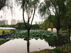 -白塘生态植物园