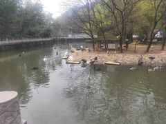 -黔灵山公园