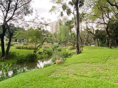 -人民公园(罗湖区)