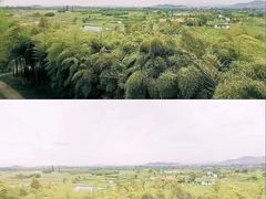 -良渚古城遗址公园