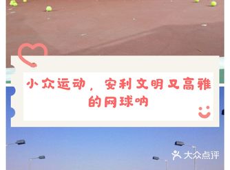 小众运动️安利文明又高雅的网球呐