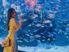 -成都浩海立方海洋公园