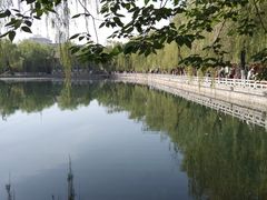 -百花洲