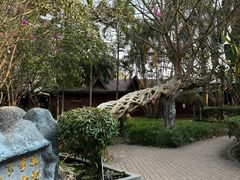 -瑞丽独树成林风景区