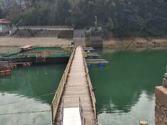 -广州市流溪河国家森林公园