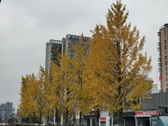 -新丰小吃(江陵路分店)
