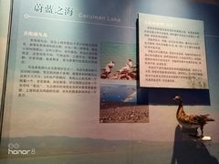 -青藏高原自然博物馆