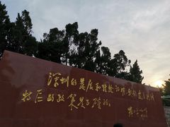 -莲花山公园