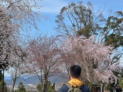-醍醐寺