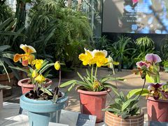 -国家植物园南园