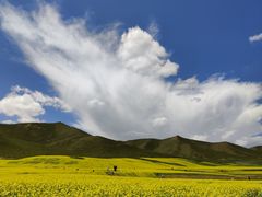 -扁都口生态休闲旅游区