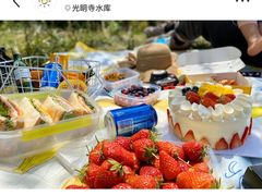 -龙坞茶村