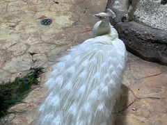 -海合安青岛极地海洋公园