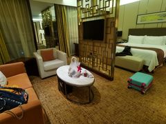 -徐州博顿温德姆酒店(高铁东站店)