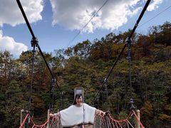 -黄椅山火山森林公园
