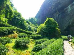 -武夷山风景名胜区-虎啸岩