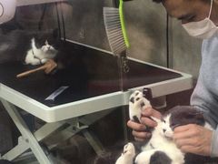 -PETKIT小佩宠物(昭化店)