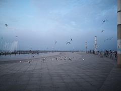 -东港音乐喷泉广场