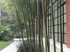 -胶囊画廊
