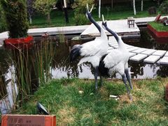 -武清南湖绿博园