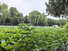 -莲池书院博物馆